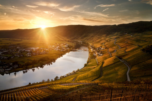 Landschaftsfoto der Weinlage Piesporter Goldtröpfchen, mit Brücke über die Mosel - Das ist ein freies Projekt, Anfragen nach Lizensierungen willkommen