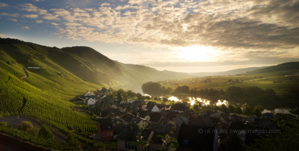 Ürzig an der Mosel mit der Weinlage Ürziger Würzgarten in der Morgensonne. Das Foto ist sehr gut für Touristik-Werbung geeignet.